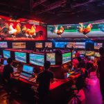 Tutorial bertaruh di sabung ayam jago